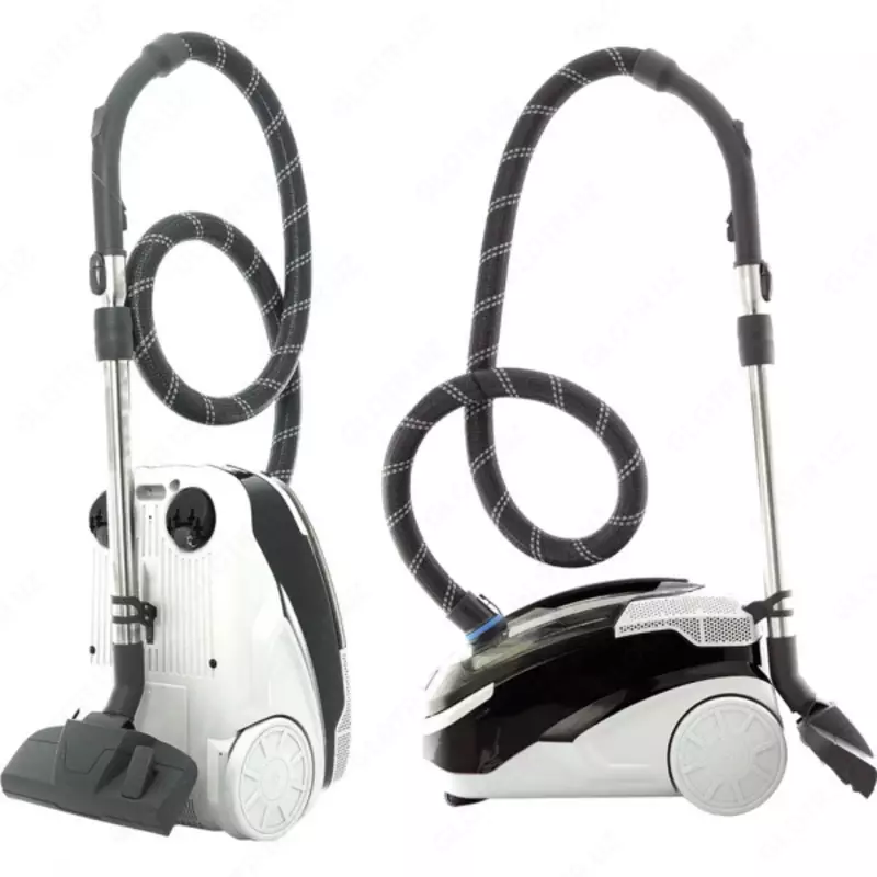 Моющий пылесос Thomas Vestfalia XT