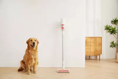 Пылесос Xiaomi Vacuum Cleaner G11