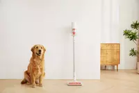 Пылесос Xiaomi MI Vacuum Cleaner G11 Только в розницу