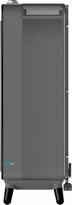 Воздухоочиститель BISSELL Air 220, Smart Purifier HEPA and Carbon Filter (30011), Black/Medium Grey