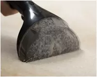 Моющий пылесос Bissell SpotClean Pro 1558E TECHNOHOUSE