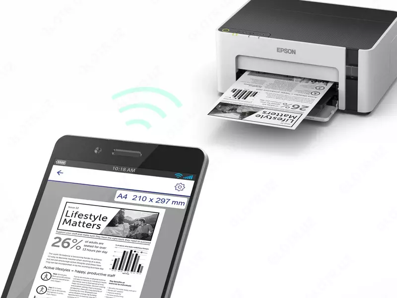 ПРИНТЕР EPSON M1120