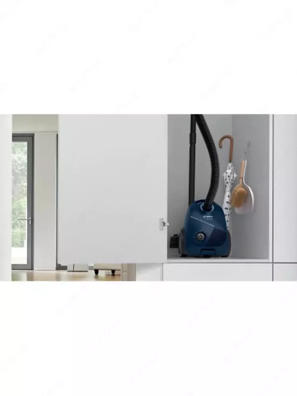 Changyutgich BOSCH BGLS2BU2