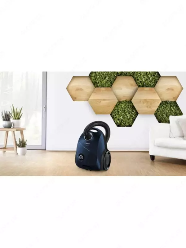 Changyutgich BOSCH BGLS2BU2