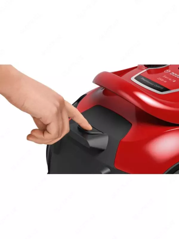 Pelisos BOSCH BGS412234A