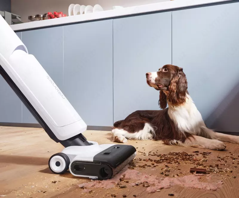 Пылесос Roborock Flexi Lite