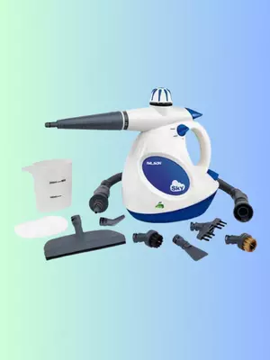 Пароочиститель