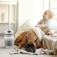 Очиститель воздуха Boneco P230 Только в розницу