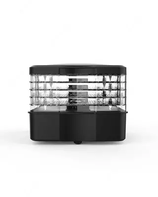 Blackton Bt FD1112 Qora sabzavot va meva quritgich