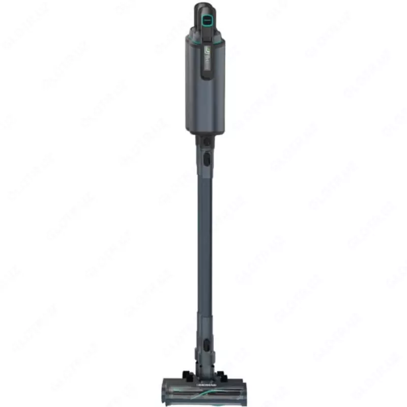Thomas BX7