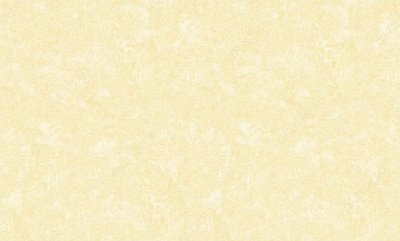 виниловые моющиеся обои