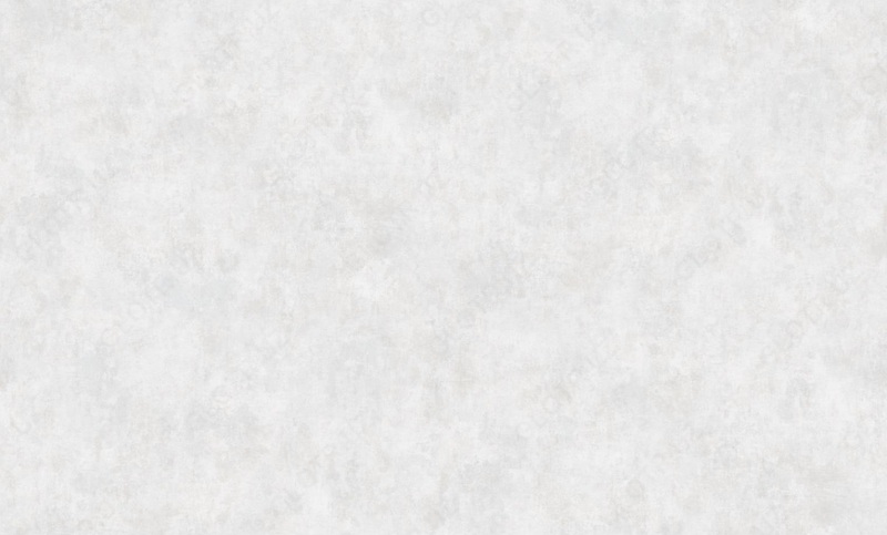 OOO "New Best Style" - Vinil bilan yuviladigan devor qog'ozi