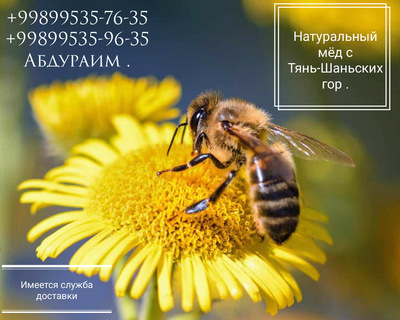 Натуральный горный мёд 🍯🏞️.