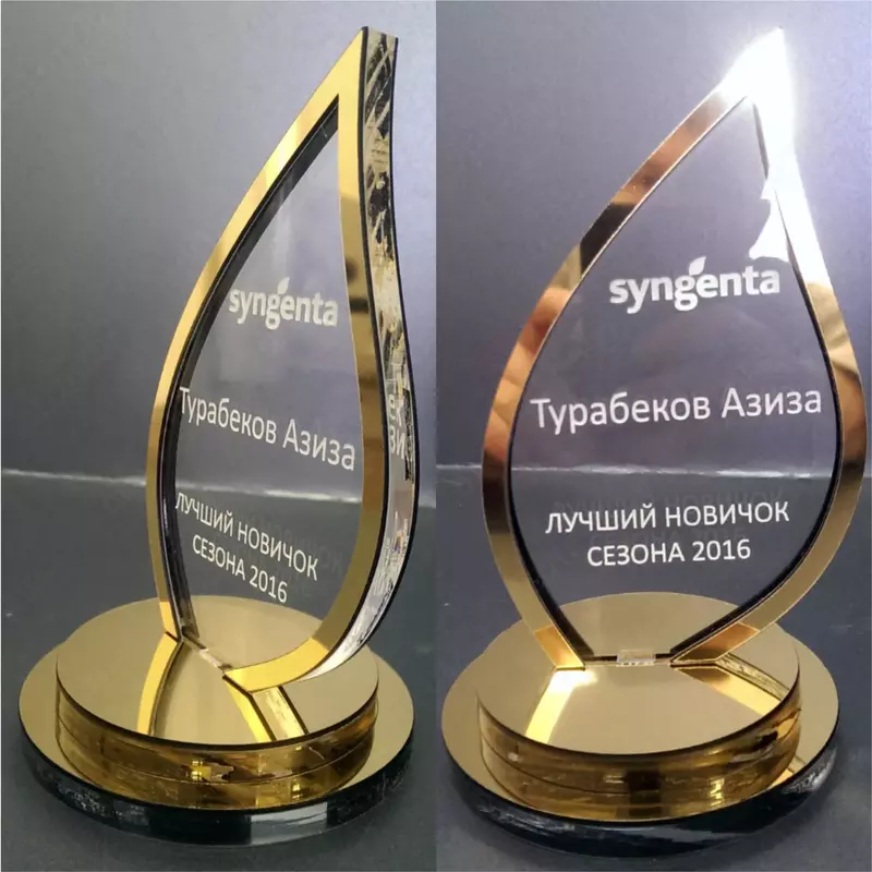 Korporativ mukofotlar