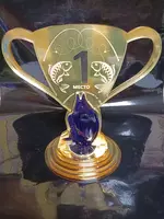 sport kubogi medallari - Tematik suvenirlar