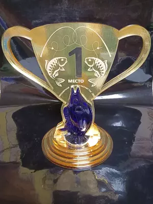 sport kubogi medallari