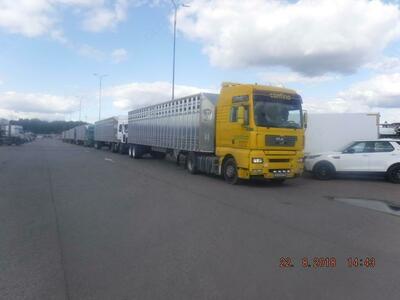 Merritt chorva mollari yarim tirkamalari