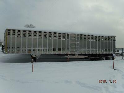 825 462 870 so'm / dona Merritt chorva mollari yarim tirkamalari