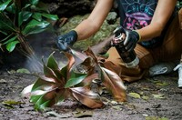 АЭРОЗОЛЬНАЯ КРАСКА MONTANA COLORS MTN PRO с металлическим эффектом MTN PRO Gold Chrome 400ml - 150 000 сум