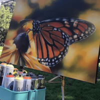 Аэрозольная краска Montana Colors MTN 94 черная (Carbon Black) - 90 000 сум