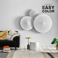 EASY COLOR SILVER 905 kumush metalllashtirilgan bo'yoq - 105 000 so'm