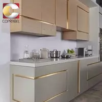  EASY COLOR Powder Pale Gold oltin kukuni 500 ml Zamonaviy sanat yaratuvchisi OOO