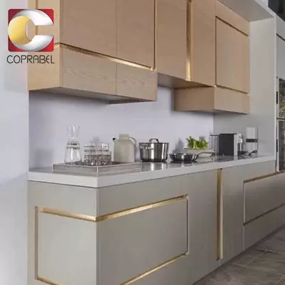  EASY COLOR Powder Pale Gold oltin kukuni 500 ml Zamonaviy sanat yaratuvchisi OOO