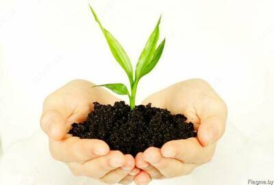 "БИОГУМУС НАТУРАЛЬНЫЕ УДОБРЕНИЯ ПРОДУКТЫ"