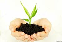 "BIOGUMUS TABIIY O'G'IT MAHSULOTLARI"