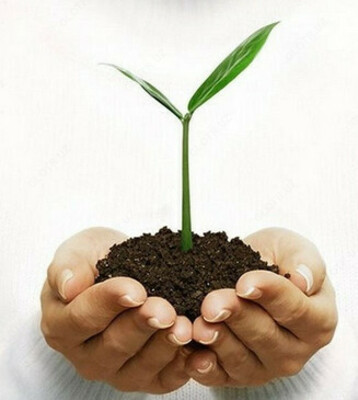 "БИОГУМУС НАТУРАЛЬНЫЕ УДОБРЕНИЯ ПРОДУКТЫ" - 800 сум от 100 кг.