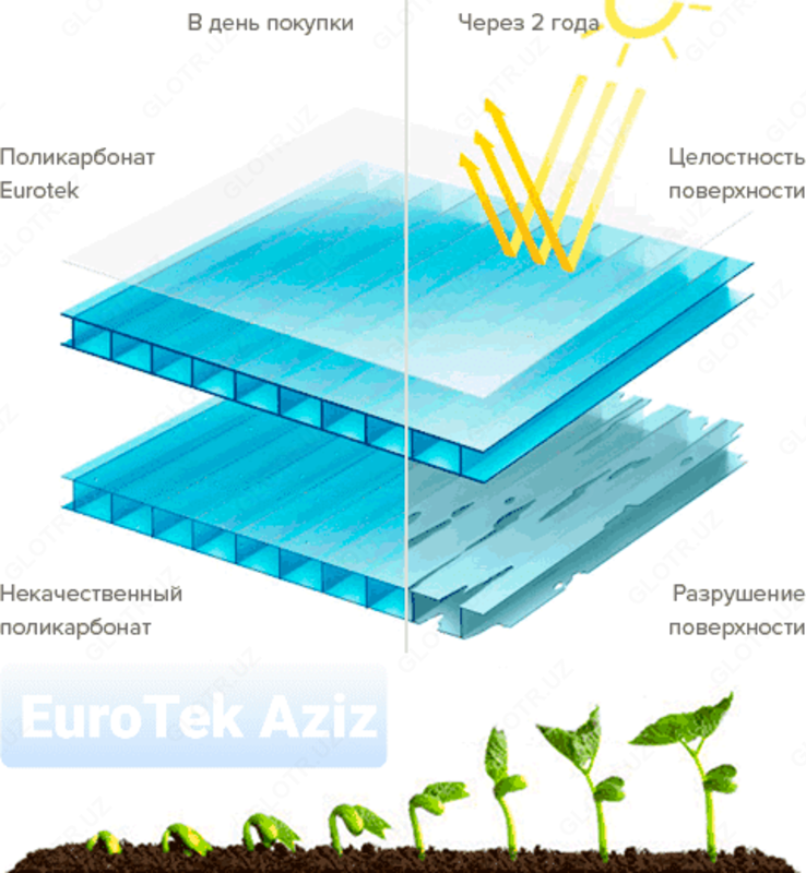  EuroTek - Лексан Россия