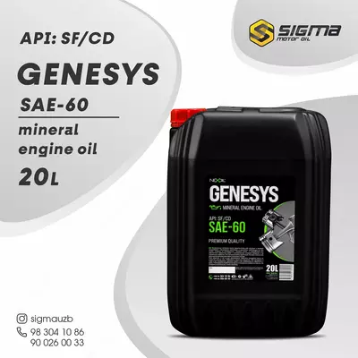 Dvigatel moyi NEXOIL SAE 60, 20 l