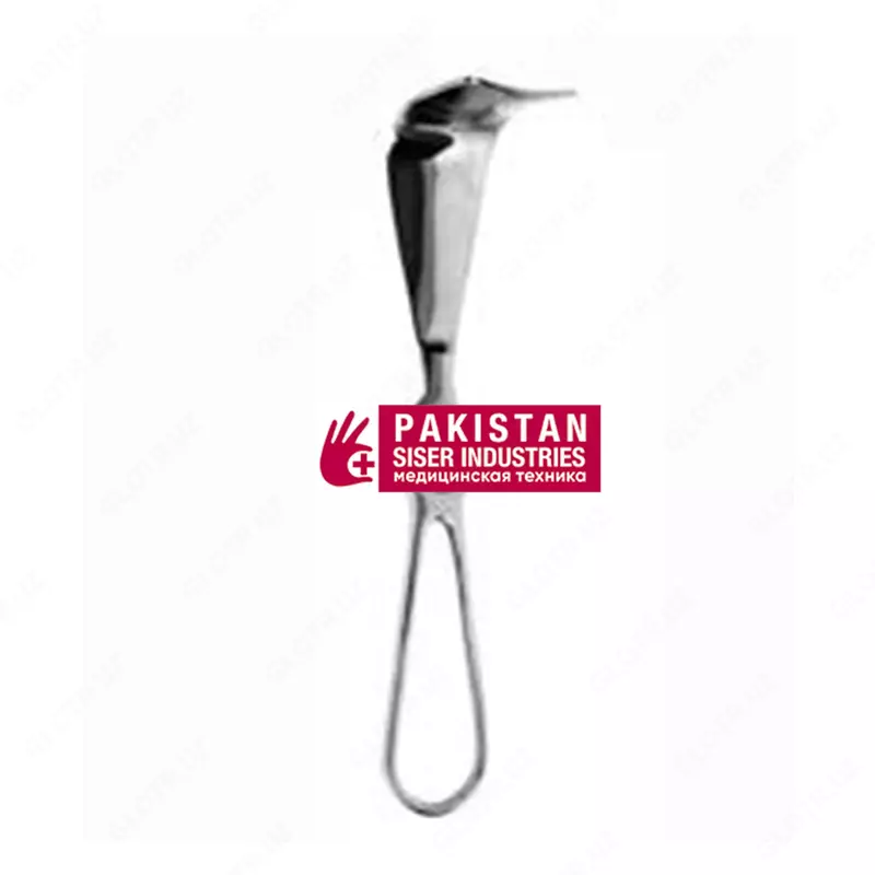 Зеркало печеночное