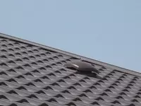 0.5 мм (Россия)