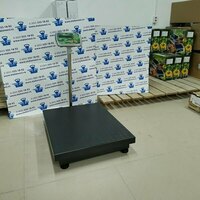  Весы МП 300 ВДА (50/100; 600х800) Красная Армия - 