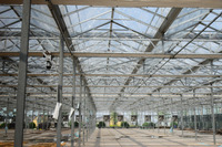 Qulupnay uchun gidroponik tizimga ega kino issiqxonasi