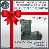Пластиковые ящики для айсберга 600х400х230 мм