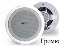 Потолочный динамик (колонка) - мощность 10W-15W встраиваемый