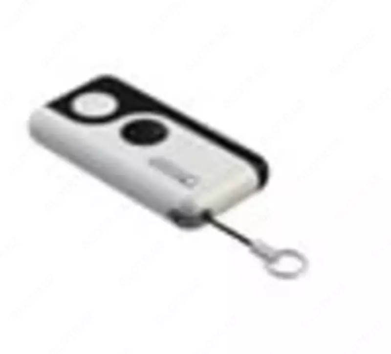 Пульт дистанционного управления "Roger SYNUS/2" (Двухканальный) - 460 000 сум