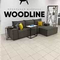 Диван "Бакстер" (СО СКИДКОЙ 40%) Только в розницу