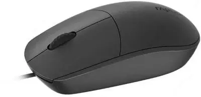 Компьютерная мышь Rapoo N100 Чёрный Оптом и розница