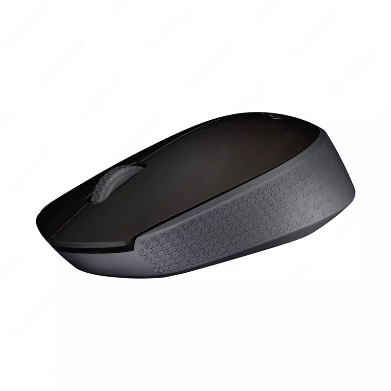 Simsiz sichqoncha Logitech M171