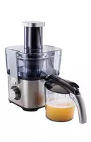 Соковыжималка Hofmann SCJ01SS/HF