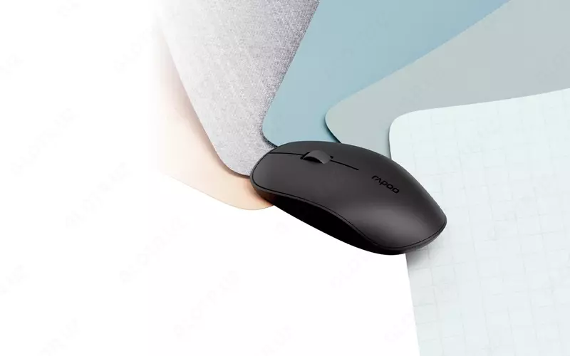 Мышь Rapoo M200 Silent