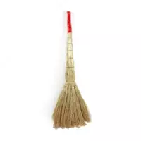 To‘rt nurli jo‘xori supurgisi