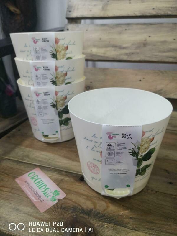 "Kremsi Provence" ildizi bilan sug'oriladigan idish