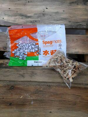 Новозеландский мох