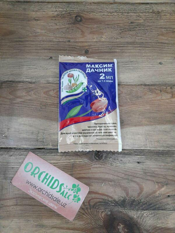 Максим Дачник