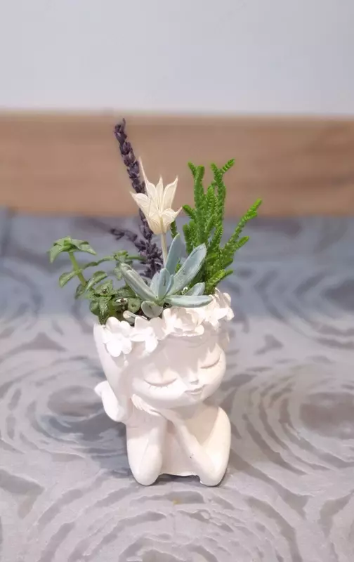 Orkide uchun Bona Forte - {0} so'mdan