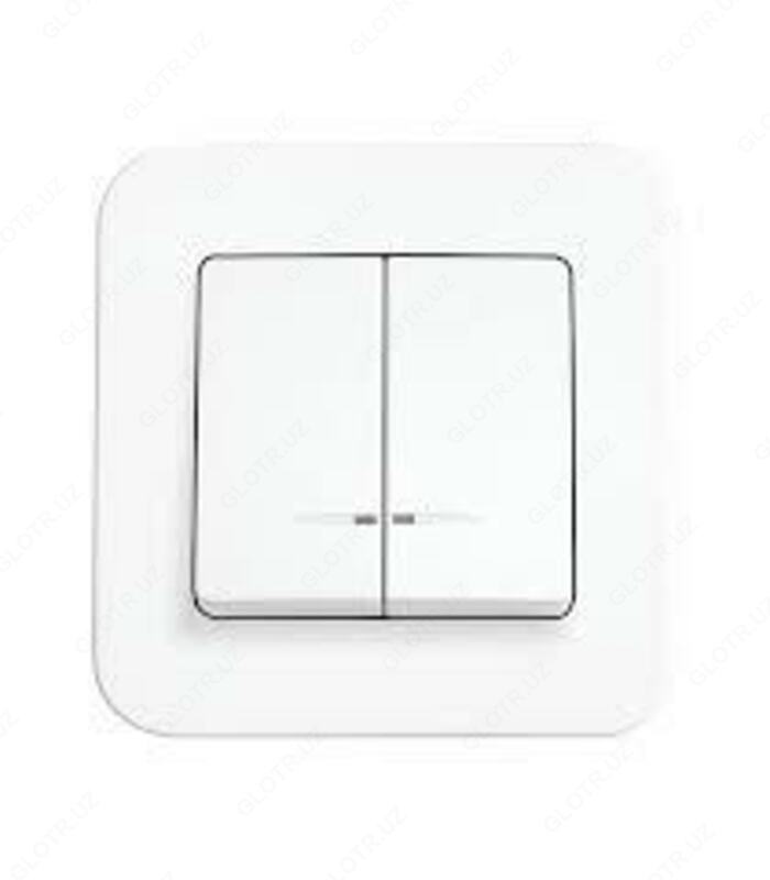 Выключатель 2 индикатор Du-29